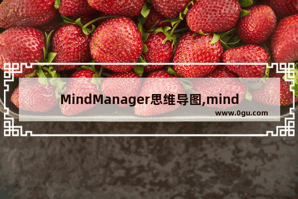 MindManager思维导图,mind思维导图怎么用