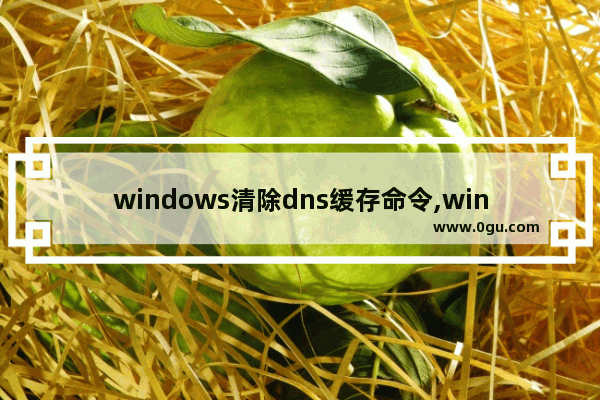 windows清除dns缓存命令,windows 清除dns缓存