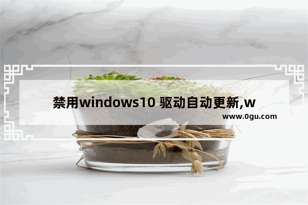 禁用windows10 驱动自动更新,win10自动更新留下的补丁