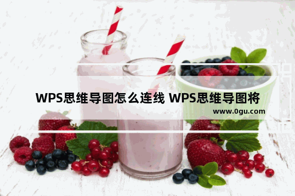 WPS思维导图怎么连线 WPS思维导图将两个子主题连接在一起的方法