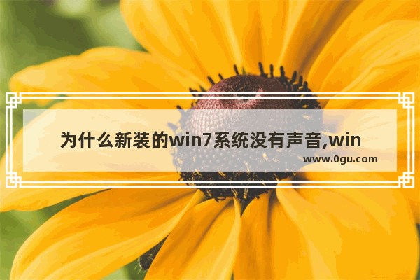 为什么新装的win7系统没有声音,win7旗舰版系统没有声音怎么办