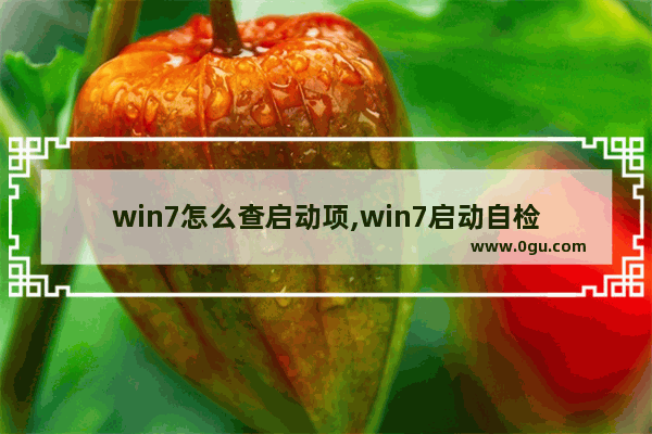 win7怎么查启动项,win7启动自检