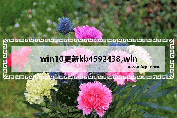 win10更新kb4592438,win10更新kb4592449 1