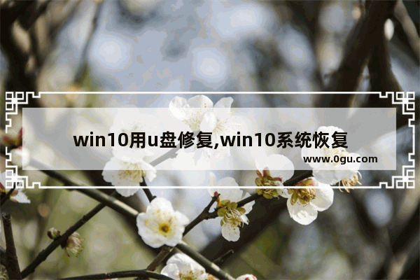 win10用u盘修复,win10系统恢复工具u盘