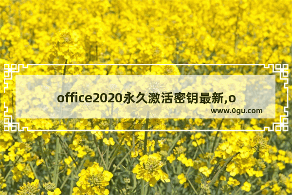 office2020永久激活密钥最新,office2018永久激活密钥最新 1