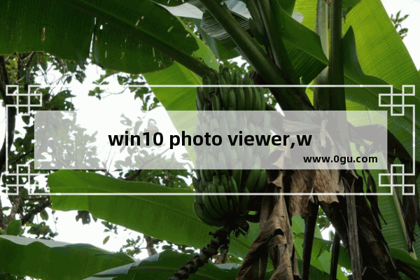 win10 photo viewer,windows10导入照片