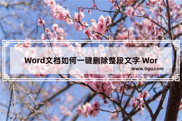 Word文档如何一键删除整段文字 Word文档一键删除整段文字的方法