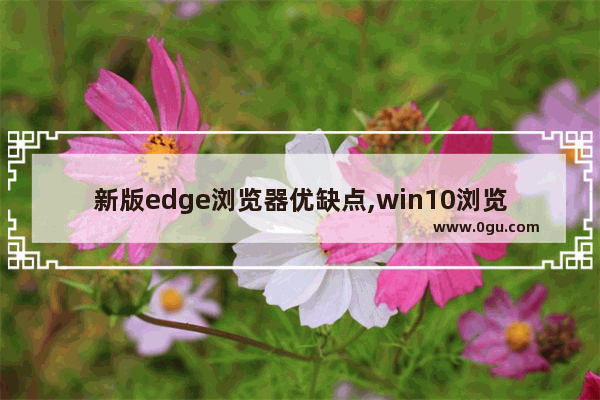 新版edge浏览器优缺点,win10浏览器edge好用吗