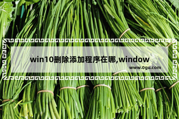 win10删除添加程序在哪,windows10如何添加删除程序