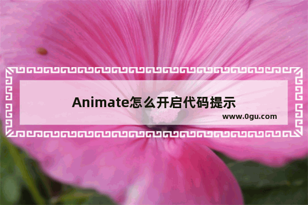 Animate怎么开启代码提示