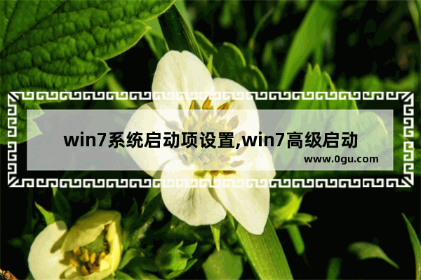 win7系统启动项设置,win7高级启动