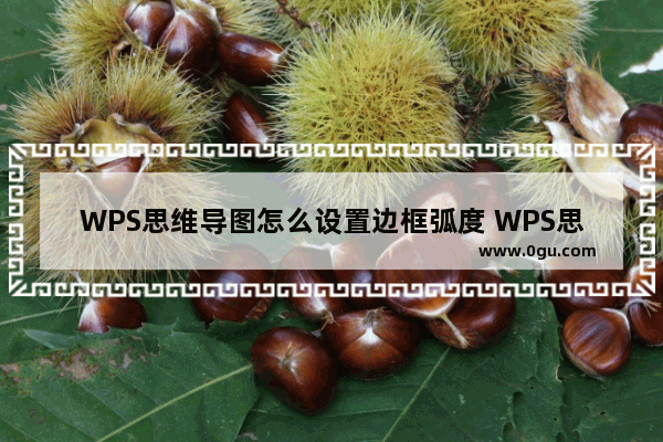 WPS思维导图怎么设置边框弧度 WPS思维导图设置边框弧度的方法