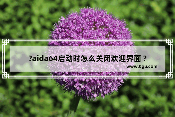 ?aida64启动时怎么关闭欢迎界面 ?aida64启动时关闭欢迎画面直接进入主页的方法