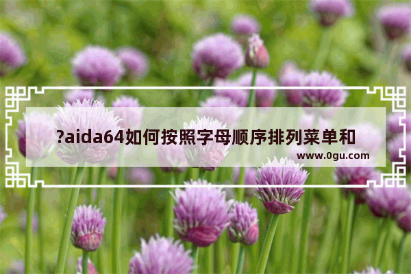 ?aida64如何按照字母顺序排列菜单和子菜单 ?aida64以字母顺序排列菜单的方法