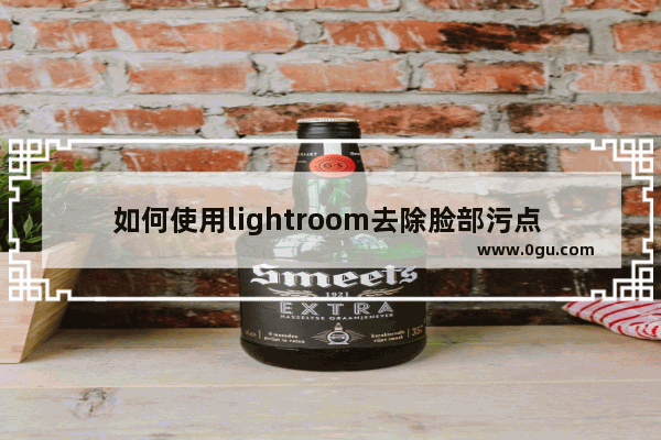 如何使用lightroom去除脸部污点 lightroom去除脸部污点的方法