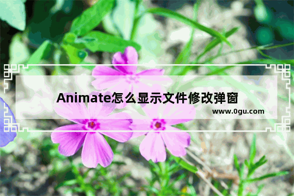 Animate怎么显示文件修改弹窗