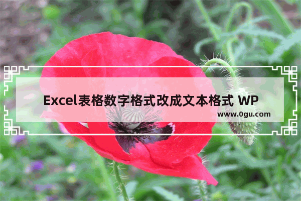 Excel表格数字格式改成文本格式 WPS Excel表格数字转换成文本格式的方法