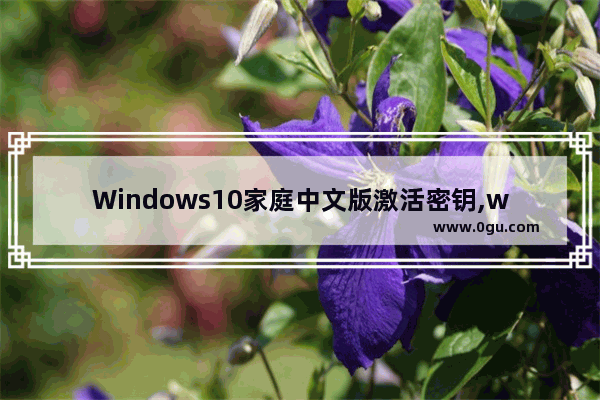 Windows10家庭中文版激活密钥,windows10家庭版激活密钥