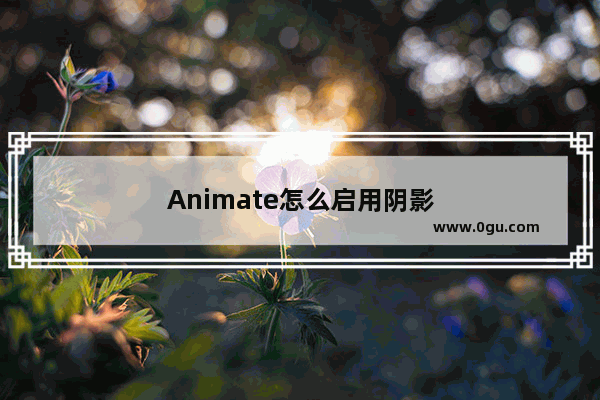 Animate怎么启用阴影