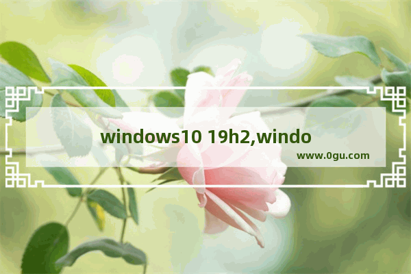 windows10 19h2,windows10最新版本21H1