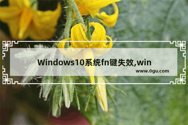 Windows10系统fn键失效,win10 不用按fn 直接使用快捷键