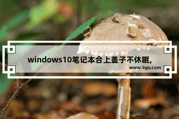 windows10笔记本合上盖子不休眠,win10笔记本合上盖子休眠怎么设置