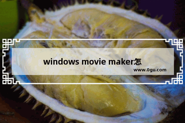 windows movie maker怎么打马赛克 windows movie maker添加马赛克的方法