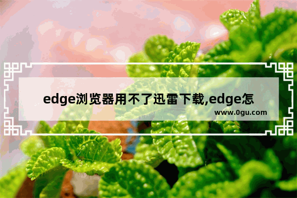 edge浏览器用不了迅雷下载,edge怎么用迅雷