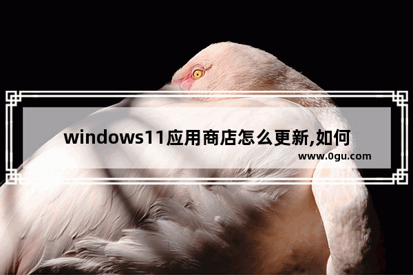 windows11应用商店怎么更新,如何重装win10应用商店