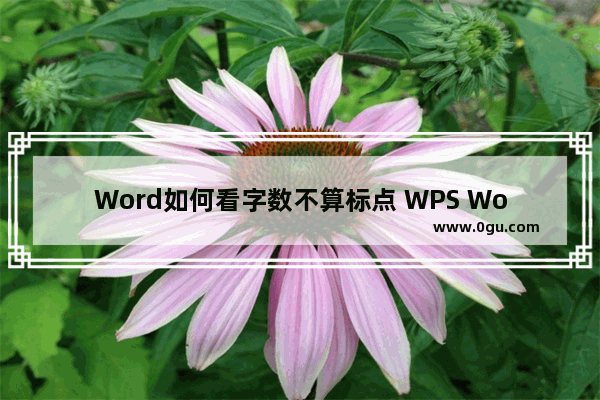 Word如何看字数不算标点 WPS Word只统计字数不统计标点符号的方法