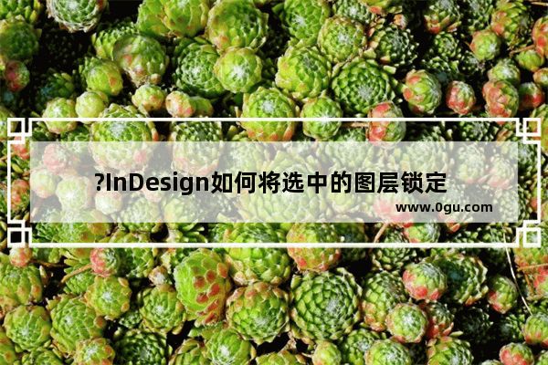 ?InDesign如何将选中的图层锁定 ?InDesign锁定图层的方法