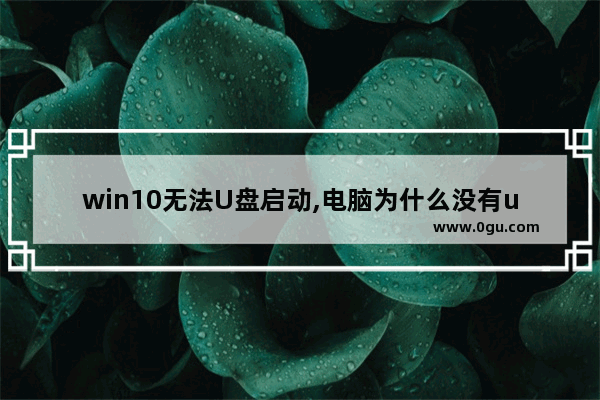 win10无法U盘启动,电脑为什么没有u盘启动项