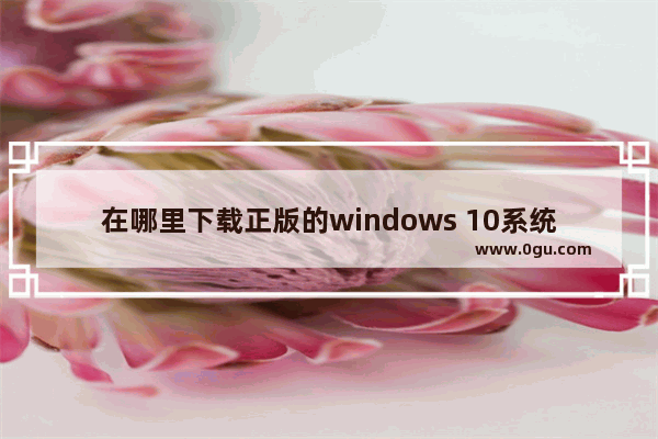 在哪里下载正版的windows 10系统,如何下载官方win10系统