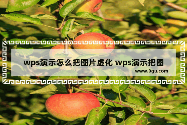 wps演示怎么把图片虚化 wps演示把图片虚化的方法