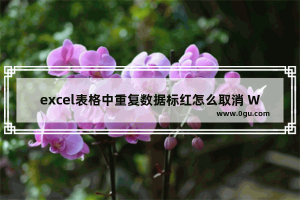 excel表格中重复数据标红怎么取消 WPS excel去除重复项颜色的方法