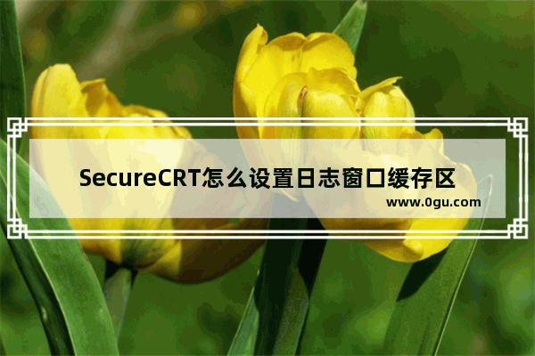 SecureCRT怎么设置日志窗口缓存区大小