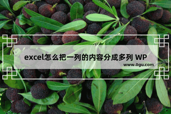 excel怎么把一列的内容分成多列 WPS excel把一列的内容分成多列显示的方法