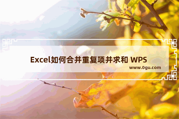 Excel如何合并重复项并求和 WPS Excel合并重复项并求和的方法