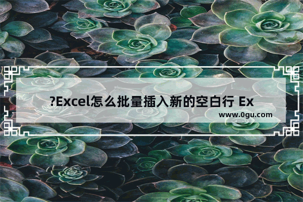 ?Excel怎么批量插入新的空白行 Excel表格批量插行的方法教程