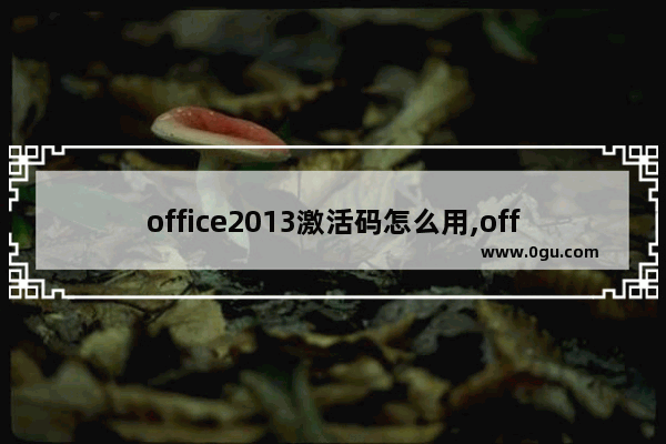 office2013激活码怎么用,office激活2010方法