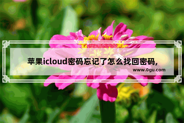 苹果icloud密码忘记了怎么找回密码,忘记自己的icloud密码怎么找回