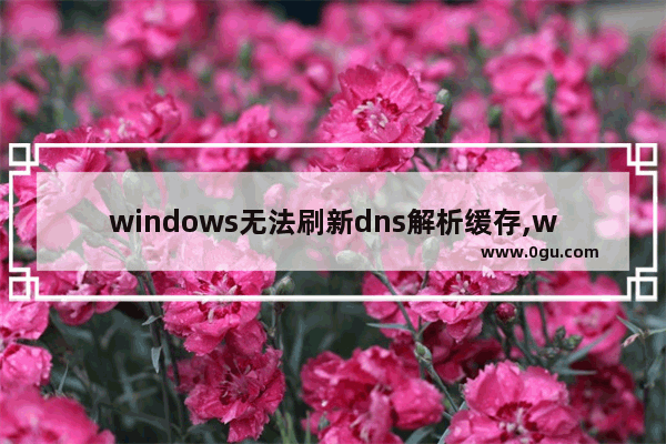 windows无法刷新dns解析缓存,win10 dns刷新