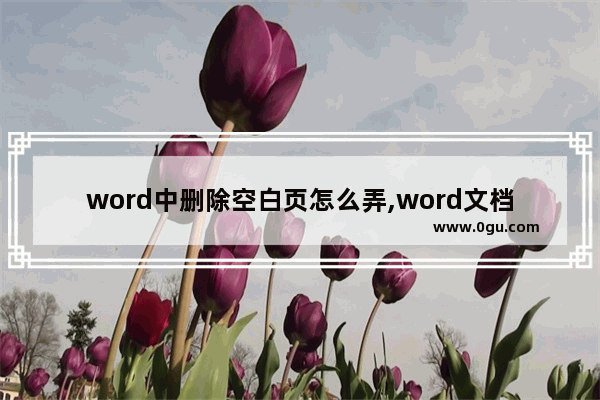 word中删除空白页怎么弄,word文档删除空白页的方法