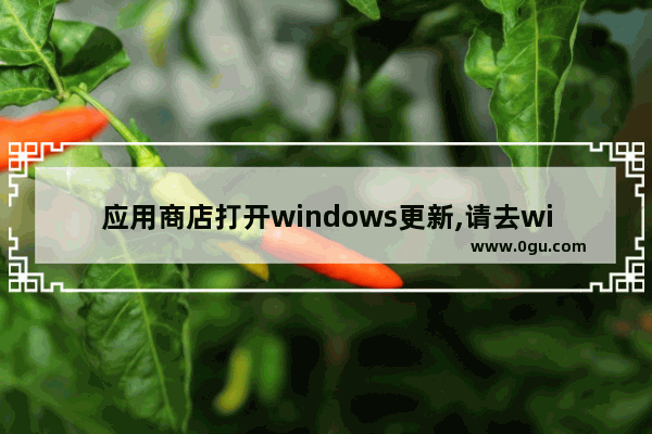 应用商店打开windows更新,请去windows应用商店查看有关