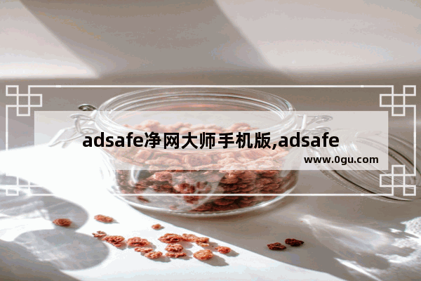 adsafe净网大师手机版,adsafe净网大师官方下载 1