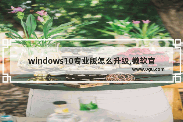 windows10专业版怎么升级,微软官方升级win10工具