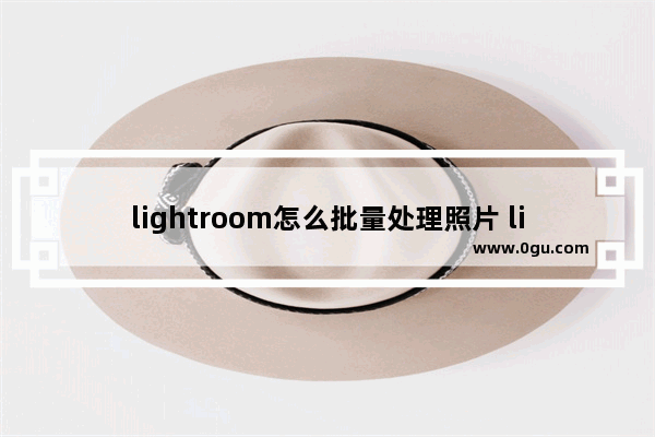 lightroom怎么批量处理照片 lightroom批量编辑图片的方法