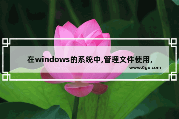 在windows的系统中,管理文件使用,Windows操作系统能够运行的文件