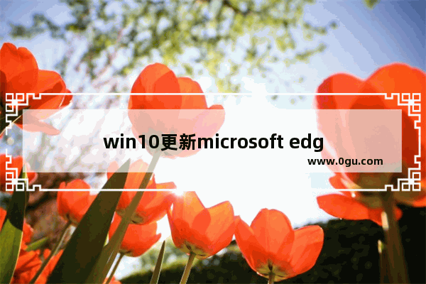 win10更新microsoft edge,更新的microsoft edge