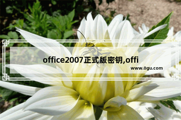 office2007正式版密钥,office2013密钥序列号